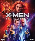 Dark Phoenix - Brazilian Movie Cover (xs thumbnail)