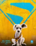 Supergirl Poster