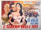 Raintree County - Italian Movie Poster (xs thumbnail)