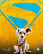 Supergirl Poster