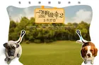 A Dog's Journey Poster