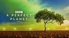 &quot;A Perfect Planet&quot; - British Movie Poster (xs thumbnail)
