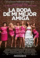 Bridesmaids Poster