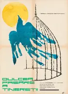 Sweet Bird of Youth Poster