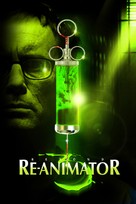 Beyond Re-Animator - French Movie Cover (xs thumbnail)