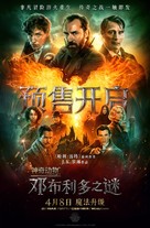 Fantastic Beasts: The Secrets of Dumbledore - Chinese Movie Poster (xs thumbnail)