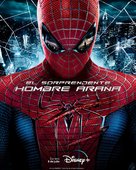 The Amazing Spider-Man - Argentinian Movie Poster (xs thumbnail)