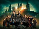 Fantastic Beasts: The Secrets of Dumbledore - Argentinian Movie Poster (xs thumbnail)