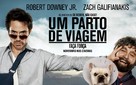 Due Date - Brazilian Movie Poster (xs thumbnail)