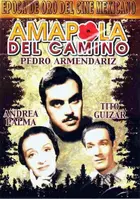 Amapola del camino Cover