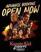 Karate Kid: Legends Other