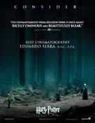 Harry Potter and the Deathly Hallows - Part 2 - For your consideration movie poster (xs thumbnail)