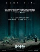 Harry Potter and the Deathly Hallows: Part II - For your consideration movie poster (xs thumbnail)