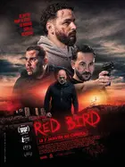 Red bird Poster