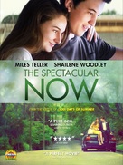 The Spectacular Now - DVD movie cover (xs thumbnail)