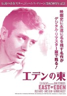 East of Eden - Japanese Movie Poster (xs thumbnail)