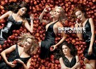 &quot;Desperate Housewives&quot; - Movie Poster (xs thumbnail)