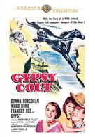 Gypsy Colt - DVD movie cover (xs thumbnail)