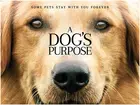 A Dog's Purpose Poster