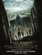 The Maze Runner - Bolivian Movie Poster (xs thumbnail)