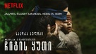 Bird Box - Georgian Movie Poster (xs thumbnail)