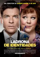 Identity Thief Poster