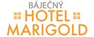 The Best Exotic Marigold Hotel - Czech Logo (xs thumbnail)
