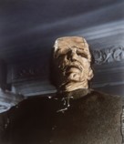 The Evil of Frankenstein -  Key art (xs thumbnail)