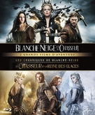 The Huntsman: Winter's War - French Movie Cover (xs thumbnail)