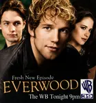 "Everwood" Poster