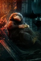 Fantastic Beasts: The Secrets of Dumbledore -  Key art (xs thumbnail)