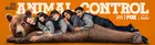 "Animal Control" Poster