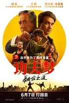 Karate Kid: Legends Poster