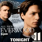 "Everwood" Poster