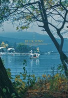 Duck Town - South Korean Movie Poster (xs thumbnail)