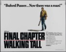 Final Chapter: Walking Tall - Theatrical movie poster (xs thumbnail)
