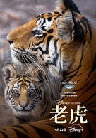 Tiger - Taiwanese Movie Poster (xs thumbnail)