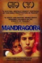 Mandragora - DVD movie cover (xs thumbnail)