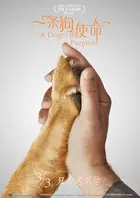 A Dog's Purpose Poster