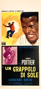 A Raisin in the Sun Poster