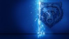 &quot;The Bear&quot; -  Key art (xs thumbnail)