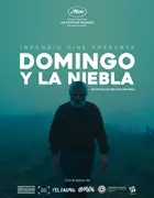 Domingo y la niebla Poster