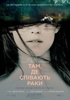 Where the Crawdads Sing - Ukrainian Movie Poster (xs thumbnail)