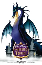 Sleeping Beauty Poster