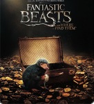 Fantastic Beasts and Where to Find Them - Movie Cover (xs thumbnail)