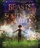 Beasts of the Southern Wild - Movie Cover (xs thumbnail)