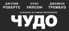 Wonder - Russian Logo (xs thumbnail)