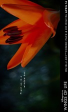 Pollen - poster (xs thumbnail)