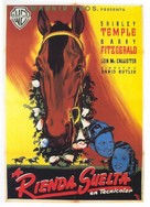 The Story of Seabiscuit - Spanish Movie Poster (xs thumbnail)