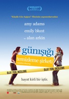 Sunshine Cleaning - Turkish Movie Poster (xs thumbnail)